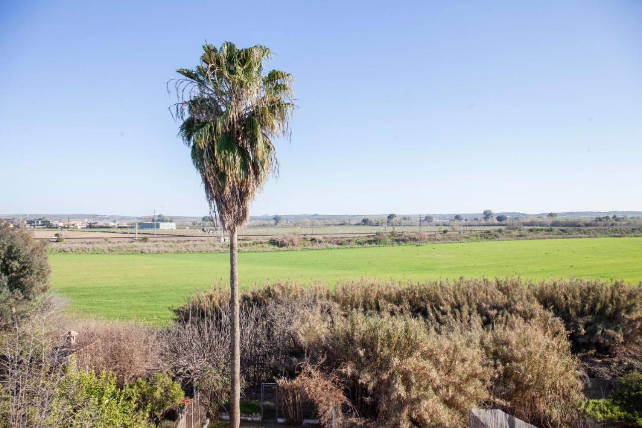Casa Rural La Palmera Almodóvar del Río المظهر الخارجي الصورة